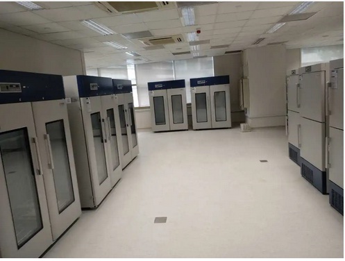 kho tủ của khách hàng Tủ dược phẩm 1378 lít